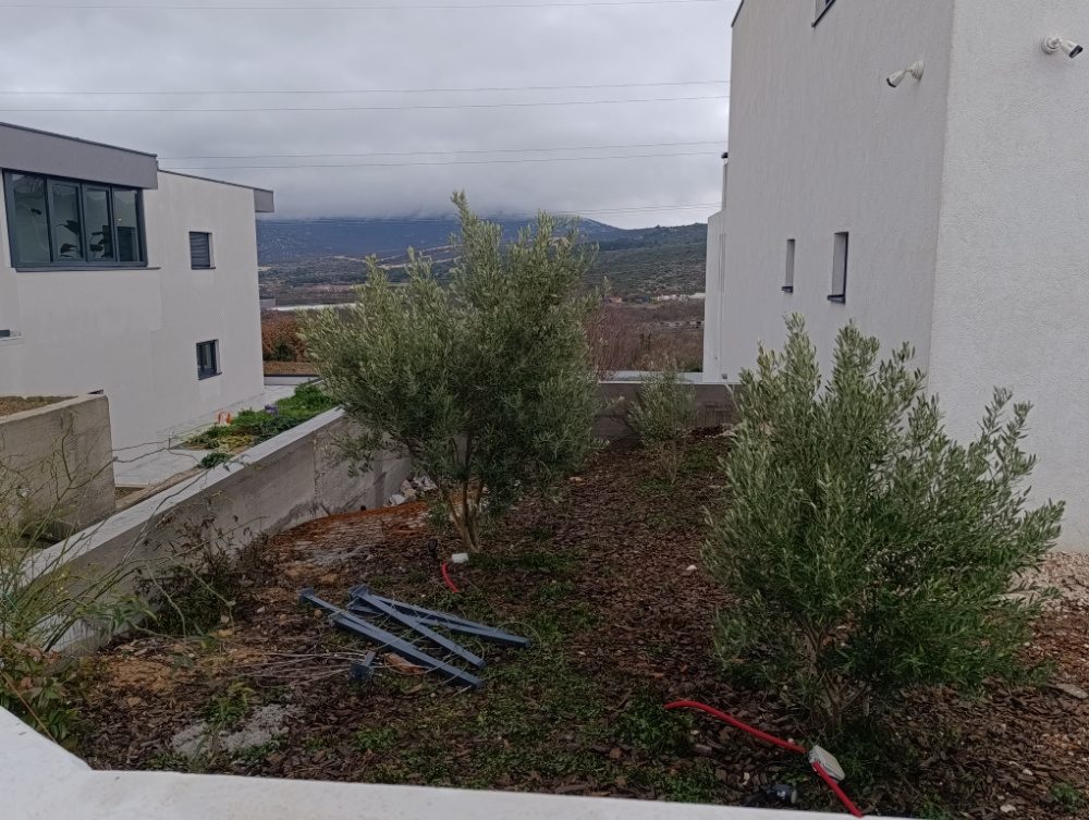 Dio vrta s maslinama prije pretvaranja u parking